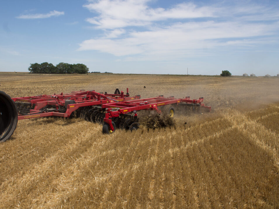 sunflower tillage